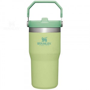 Stanley The IceFlow Flip Straw | 20 OZ Tumblers | USA_S1347