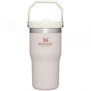 Stanley The IceFlow Flip Straw | 20 OZ Tumblers | USA_S1737