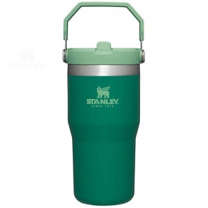 Stanley The IceFlow Flip Straw | 20 OZ Tumblers | USA_S1128