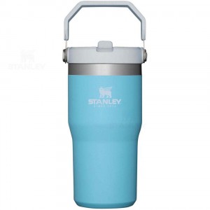 Stanley The IceFlow Flip Straw | 20 OZ Tumblers | USA_S1938