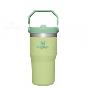 Stanley The IceFlow Flip Straw | 20 OZ Water Bottles | USA_S1937