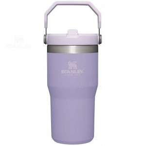 Stanley The IceFlow Flip Straw | 20 OZ Water Bottles | USA_S1719