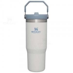 Stanley The IceFlow Flip Straw | 30 OZ Tumblers | USA_S1245