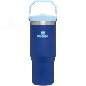 Stanley The IceFlow Flip Straw | 30 OZ Tumblers | USA_S1070