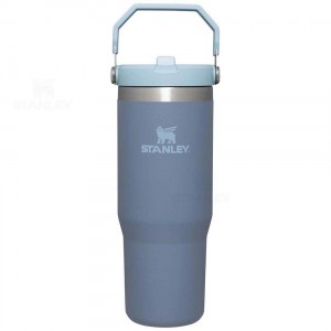 Stanley The IceFlow Flip Straw | 30 OZ Tumblers | USA_S1447