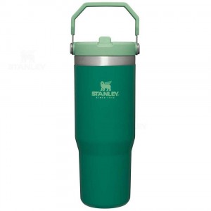 Stanley The IceFlow Flip Straw | 30 OZ Tumblers | USA_S1587