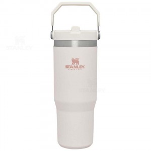 Stanley The IceFlow Flip Straw | 30 OZ Tumblers | USA_S1824