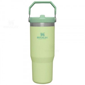 Stanley The IceFlow Flip Straw | 30 OZ Tumblers | USA_S1355