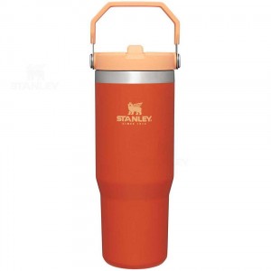 Stanley The IceFlow Flip Straw | 30 OZ Tumblers | USA_S1541