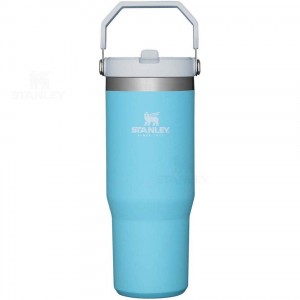 Stanley The IceFlow Flip Straw | 30 OZ Tumblers | USA_S1947