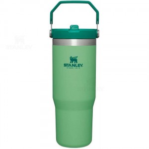 Stanley The IceFlow Flip Straw | 30 OZ Water Bottles | USA_S1883