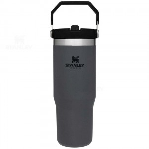 Stanley The IceFlow Flip Straw | 30 OZ Water Bottles | USA_S1500