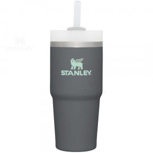 Stanley The Quencher H2.0 FlowState™ 14 OZ | USA_S1259