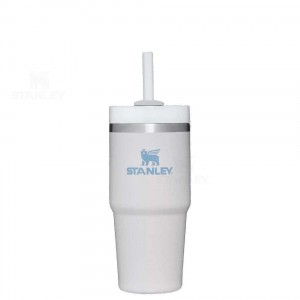 Stanley The Quencher H2.0 FlowState™ 14 OZ | USA_S1996