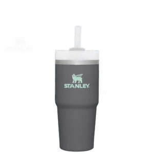 Stanley The Quencher H2.0 FlowState™ 14 OZ | USA_S1116