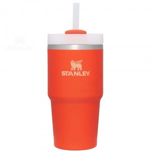 Stanley The Quencher H2.0 FlowState™ 20 OZ | USA_S1553