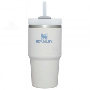 Stanley The Quencher H2.0 FlowState™ 20 OZ | USA_S1716