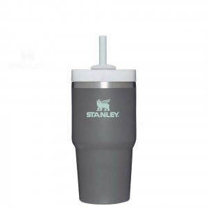 Stanley The Quencher H2.0 FlowState™ 20 OZ | USA_S1089