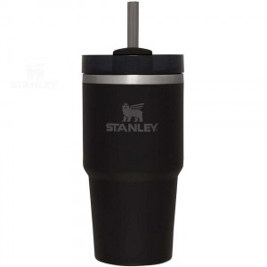 Stanley The Quencher H2.0 FlowState™ 20 OZ | USA_S1465