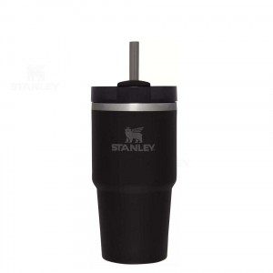 Stanley The Quencher H2.0 FlowState™ 20 OZ | USA_S2049