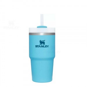 Stanley The Quencher H2.0 FlowState™ 20 OZ | USA_S1816