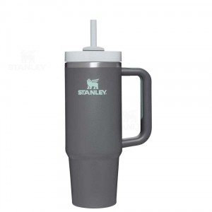 Stanley The Quencher H2.0 FlowState™ 30 OZ | USA_S2301