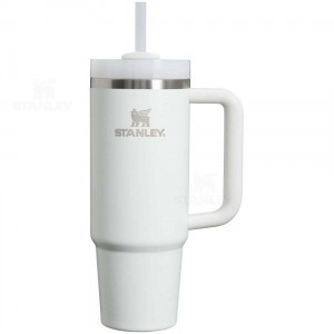 Stanley The Quencher H2.0 FlowState™ 30 OZ | USA_S2209