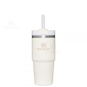 Stanley The Quencher H2.0 FlowState™ | 14 OZ Tumblers | USA_S2035