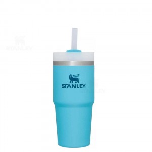 Stanley The Quencher H2.0 FlowState™ | 14 OZ Tumblers | USA_S1764