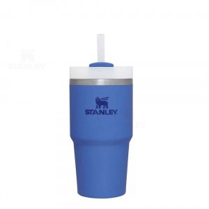 Stanley The Quencher H2.0 FlowState™ | 20 OZ Tumblers | USA_S1357