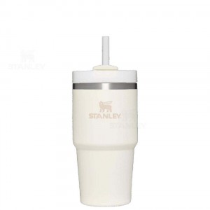 Stanley The Quencher H2.0 FlowState™ | 20 OZ Tumblers | USA_S1637