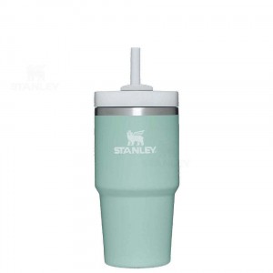 Stanley The Quencher H2.0 FlowState™ | 20 OZ Tumblers | USA_S2387