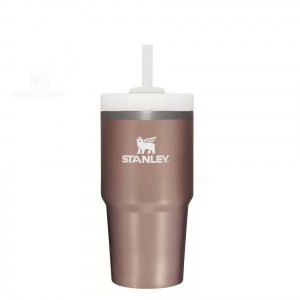 Stanley The Quencher H2.0 FlowState™ | 20 OZ Tumblers | USA_S2313