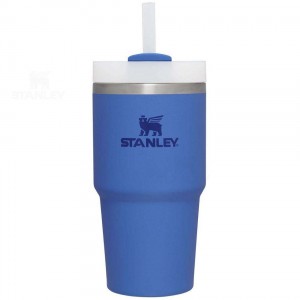 Stanley The Quencher H2.0 FlowState™ | 20 OZ Tumblers | USA_S1294