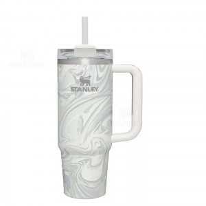 Stanley The Quencher H2.0 Flowstate™ | 30 OZ Tumblers | USA_S1121