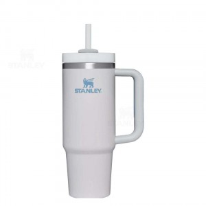 Stanley The Quencher H2.0 Flowstate™ | 30 OZ Tumblers | USA_S1237