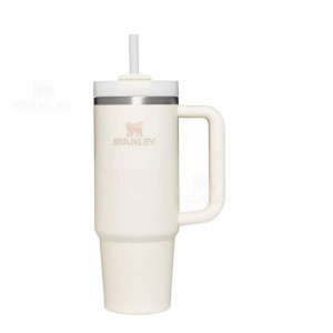 Stanley The Quencher H2.0 Flowstate™ | 30 OZ Tumblers | USA_S2336