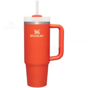 Stanley The Quencher H2.0 Flowstate™ | 30 OZ Tumblers | USA_S2037