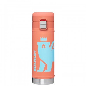 Stanley The Wild Imagination Flowsteady™ Big Bear | 17 OZ Water Bottles | USA_S1351