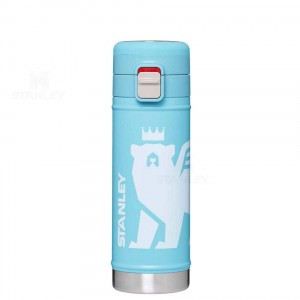 Stanley The Wild Imagination Flowsteady™ Big Bear | 17 OZ Water Bottles | USA_S1174