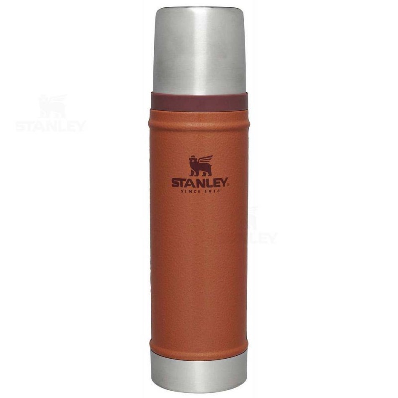 Stanley Classic Legendary Bottle | 20 OZ Coffee & Tea | USA_S2255