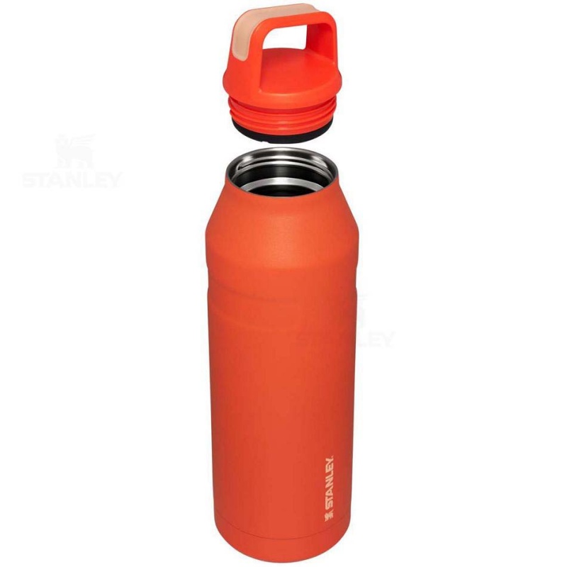 Stanley IceFlow™ AeroLight™ with Cap and Carry+ Lid | 50 OZ Water Bottles | USA_S1316