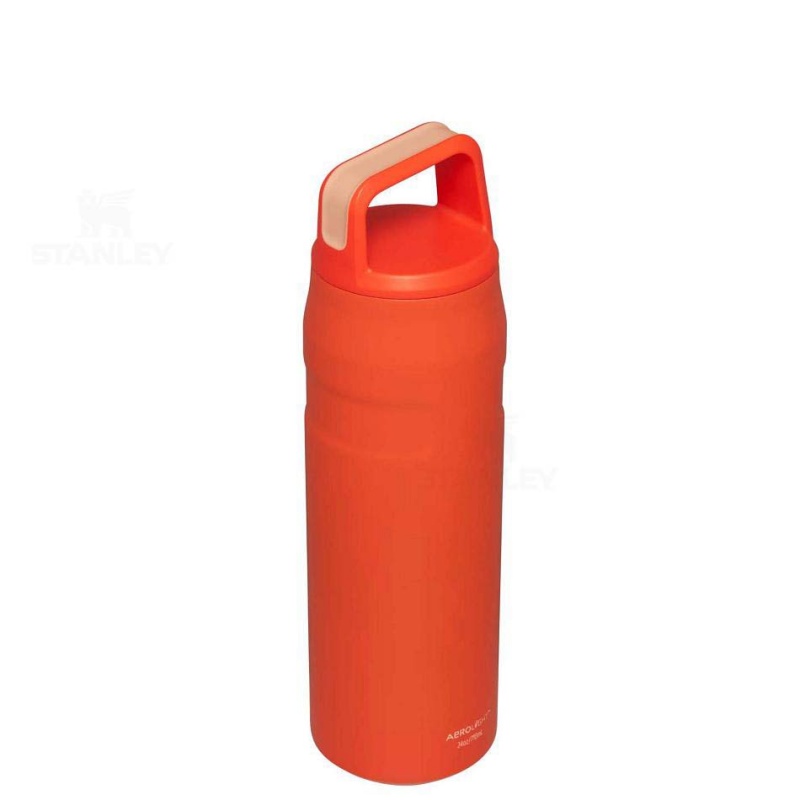 Stanley IceFlow™ AeroLight™ with Cap and Carry+ Lid | 24 OZ Water Bottles | USA_S2234