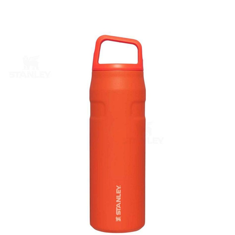 Stanley IceFlow™ AeroLight™ with Cap and Carry+ Lid | 24 OZ Water Bottles | USA_S2234