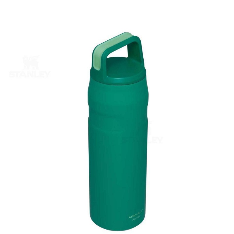 Stanley IceFlow™ AeroLight™ with Cap and Carry+ Lid | 24 OZ Water Bottles | USA_S2294