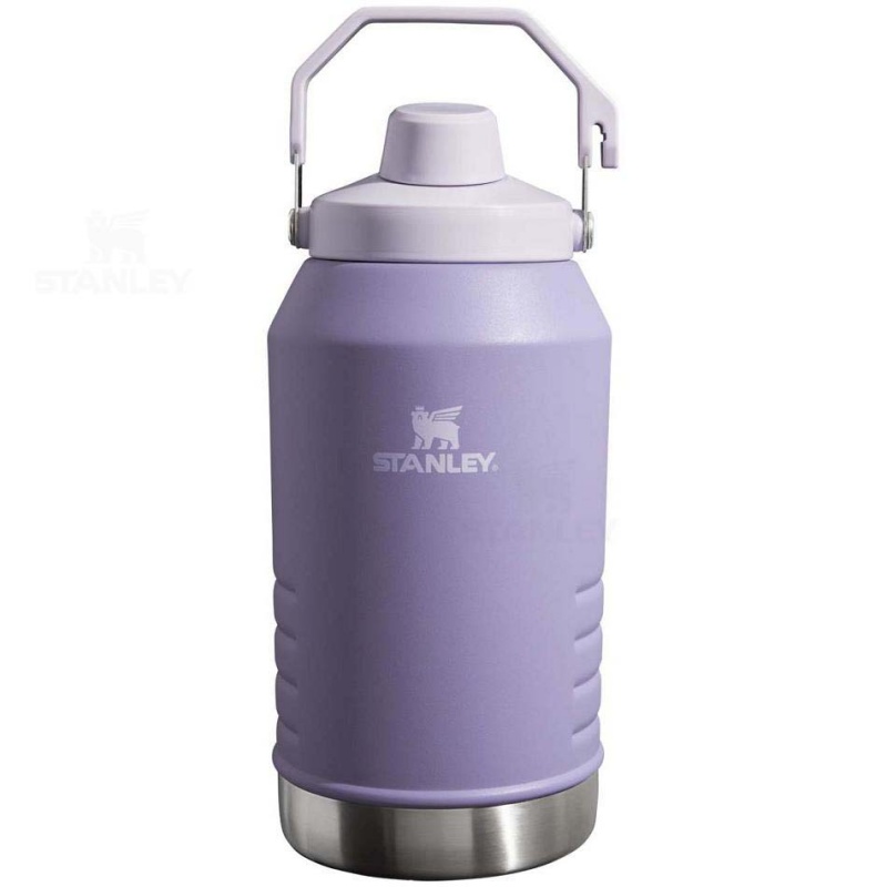 Stanley IceFlow™ Jug with Fast Flow Lid | 96 OZ Water Bottles | USA_S1305