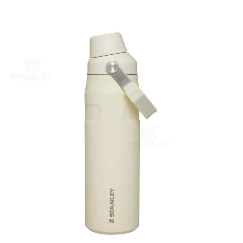 Stanley IceFlow™ with Fast Flow Lid | 24 OZ Water Bottles | USA_S2216