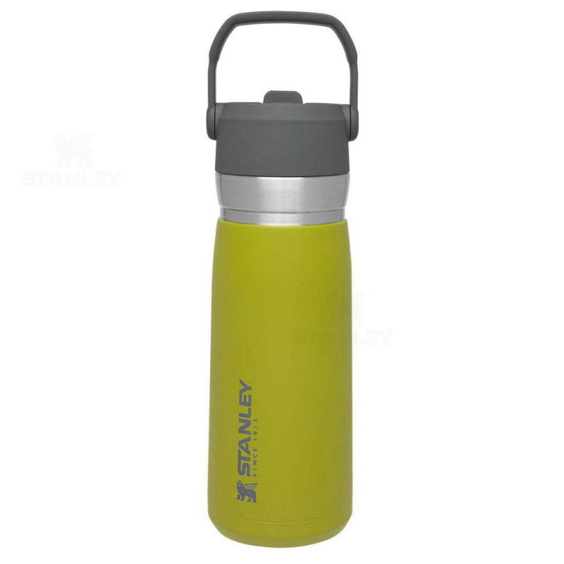 Stanley The Go Flip Straw | 22 OZ Water Bottles | USA_S2327