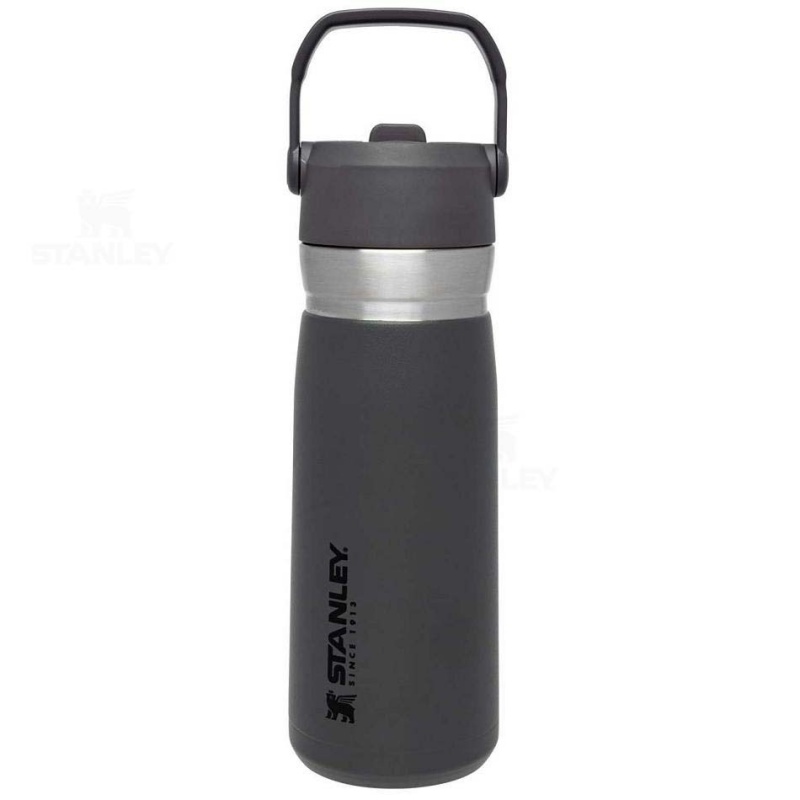 Stanley The Go Flip Straw | 22 OZ Water Bottles | USA_S1715