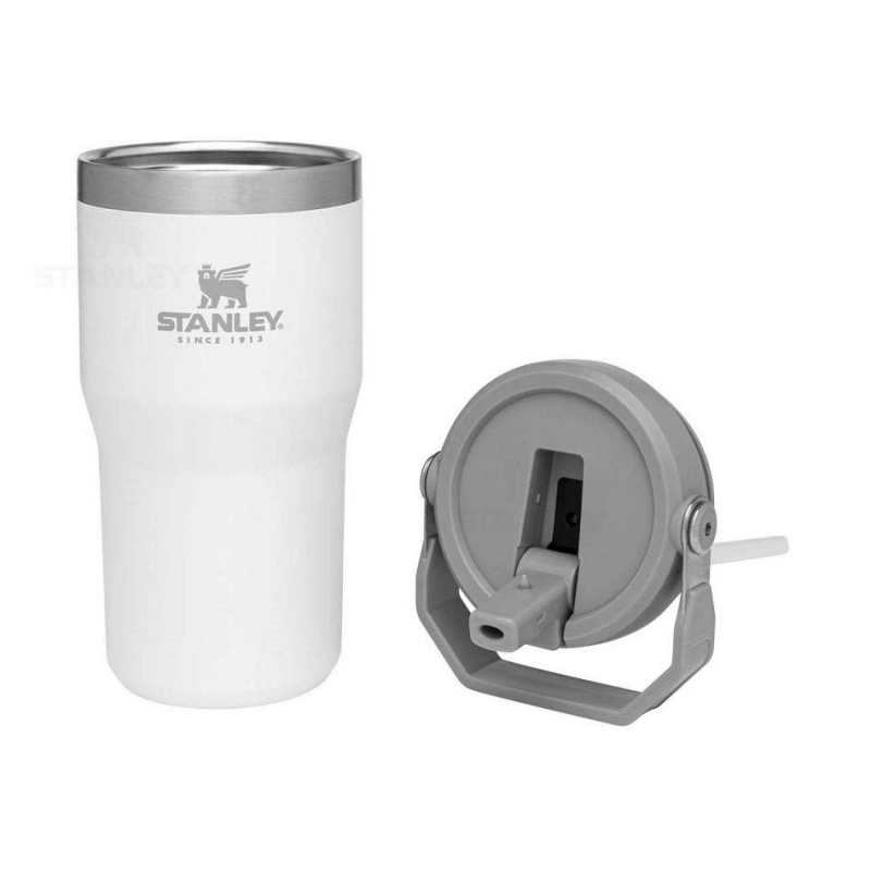 Stanley The IceFlow Flip Straw | 20 OZ Tumblers | USA_S1604